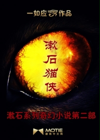 魂穿橘猫二三事